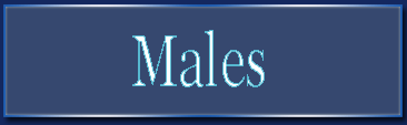 Males, Rden